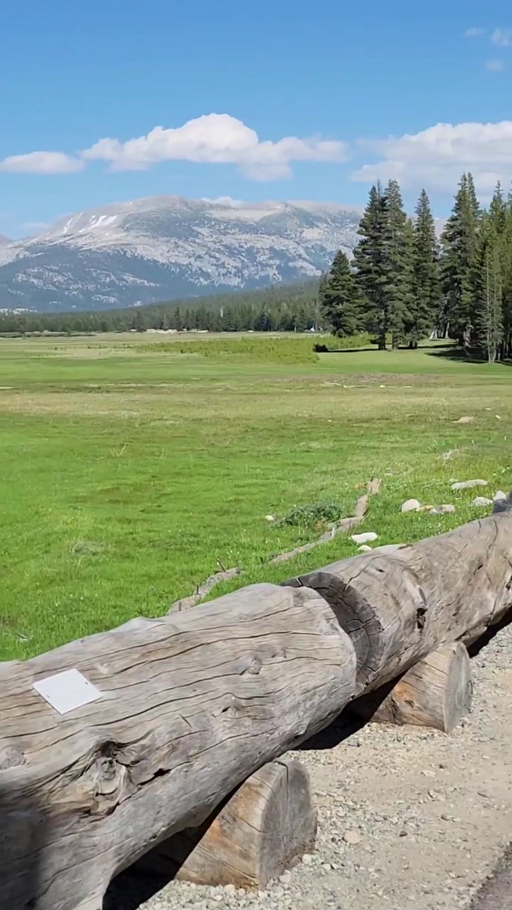 🌿🌸 Tuolumne Meadows