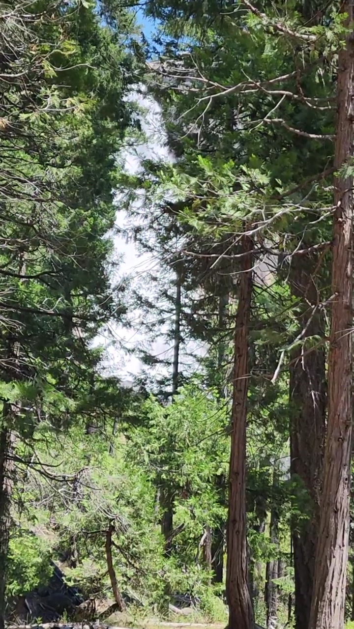 🌿🌊 Verdant View of Nevada Fall