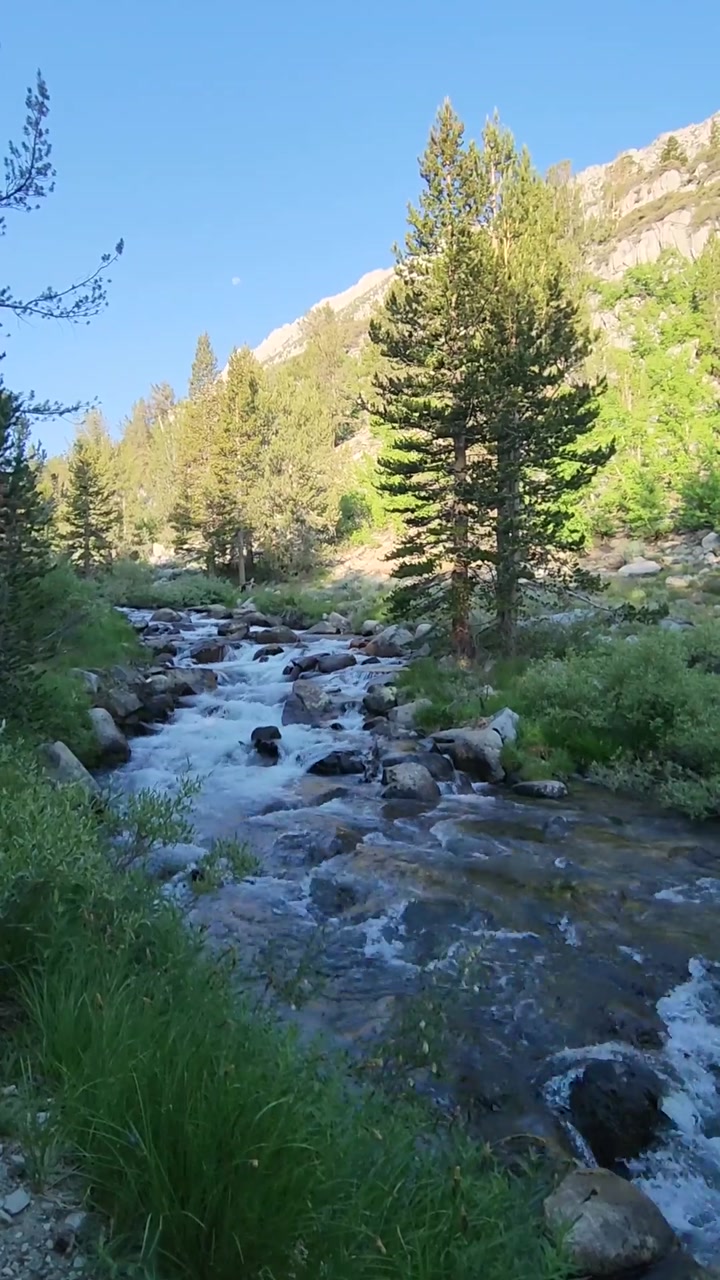 Alpine Stream, Eastern Sierra 💦🐟