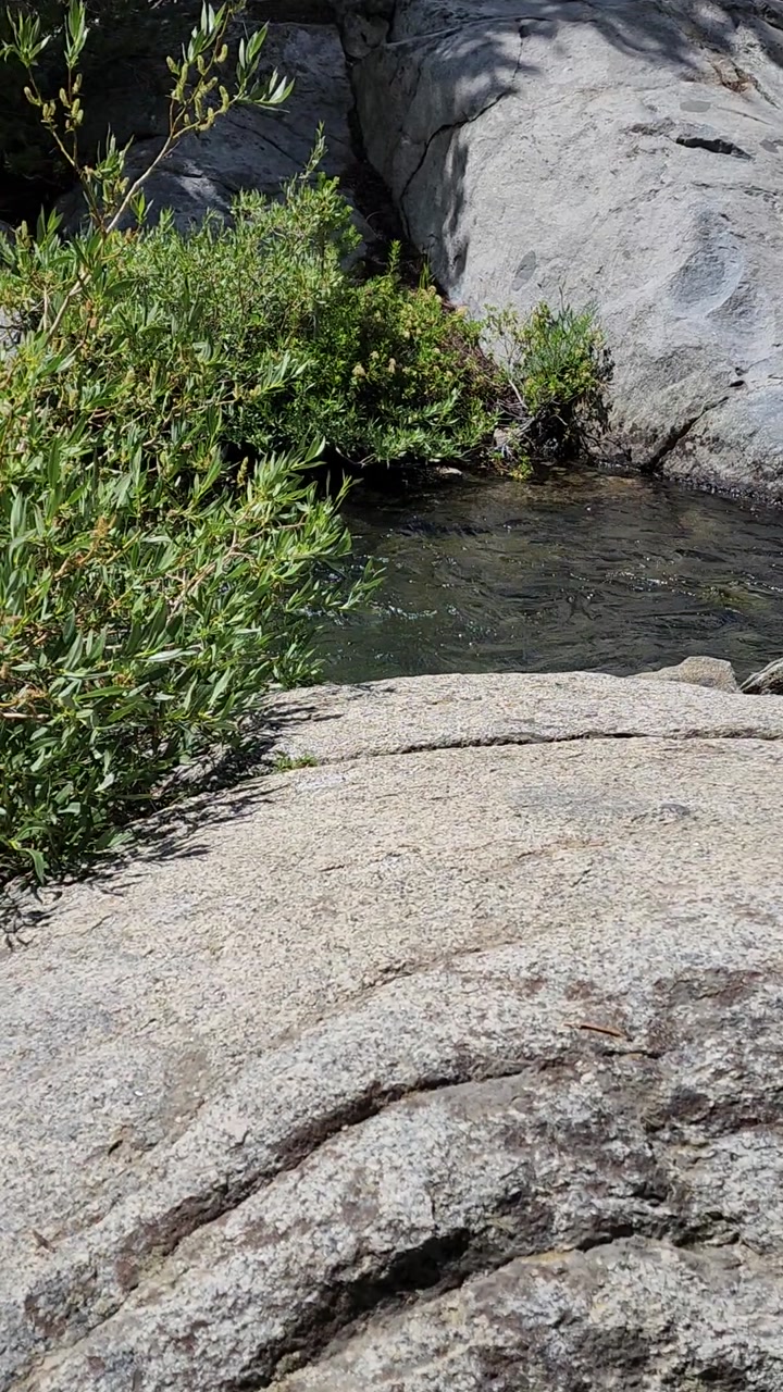Cascading Stream from Blue Lake 💦🌲