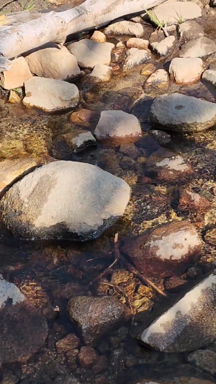 Alpine Creek Crossing the Trail 💧⛰️