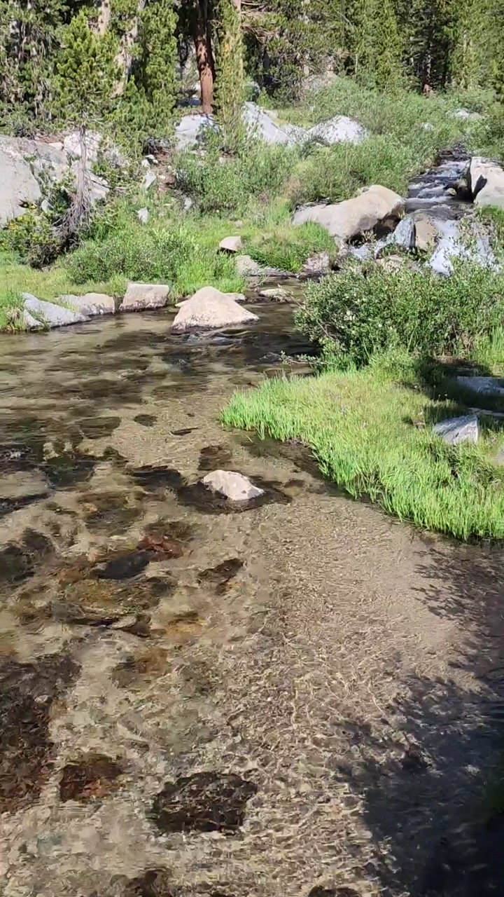 Eastern Sierra Cascading Creek 💧🌲🐦