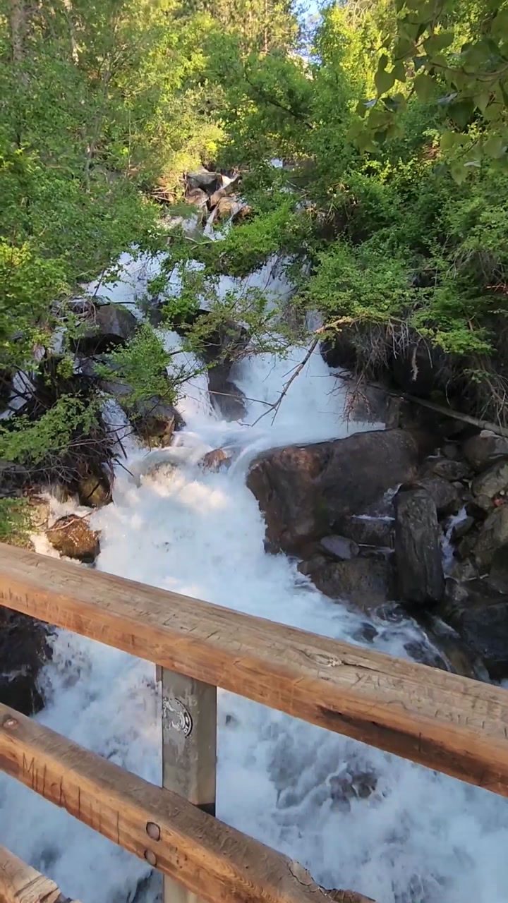Rushing creek in the Eastern Sierra 💧