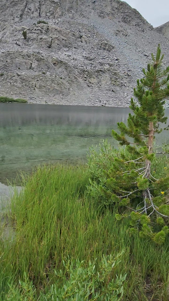 Alpine lake, Eastern Sierra
