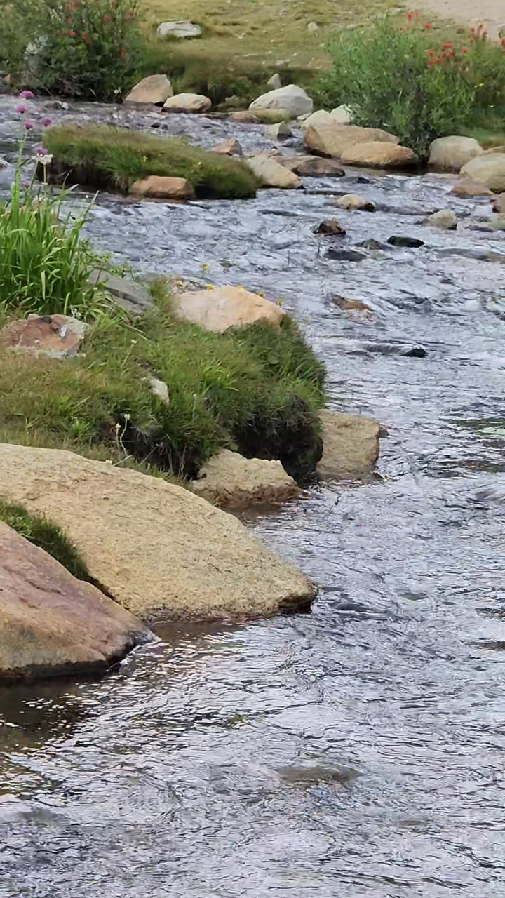 Alpine stream, Eastern Sierra