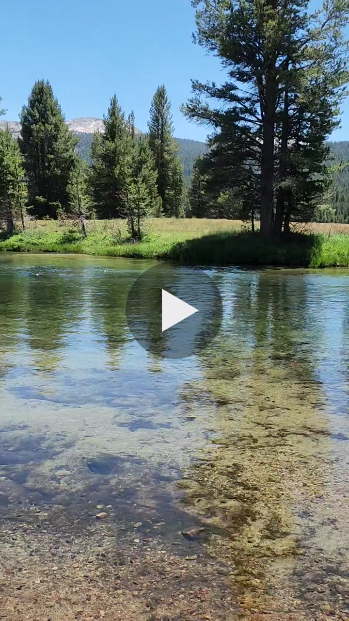 💧⛰️ Tuolumne: High-Country Haven