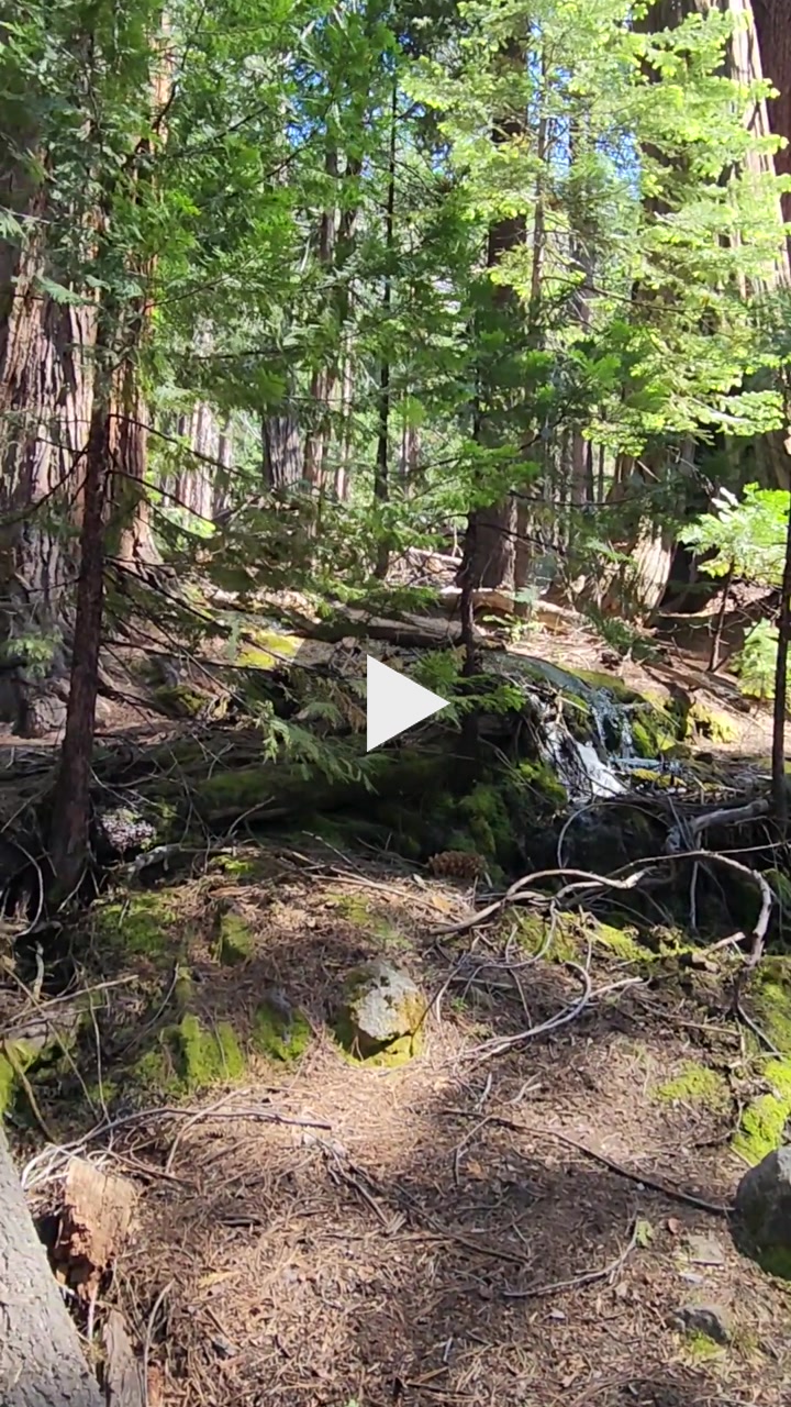 💧🌿 Cascading Creek: Nevada Fall Gem