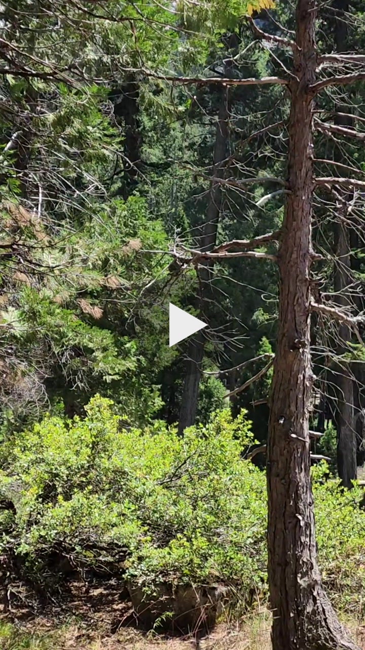 🌿🌊 Verdant View of Nevada Fall