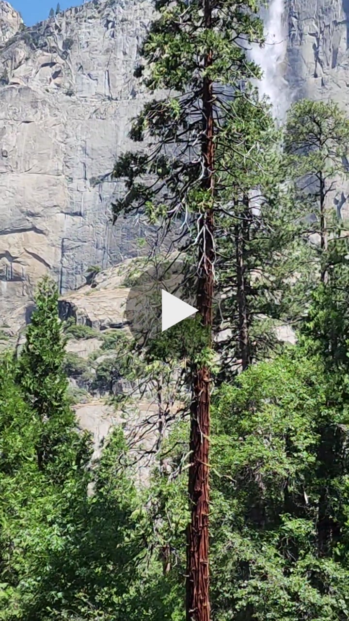 🌊⛰️ Upper & Lower Yosemite Falls